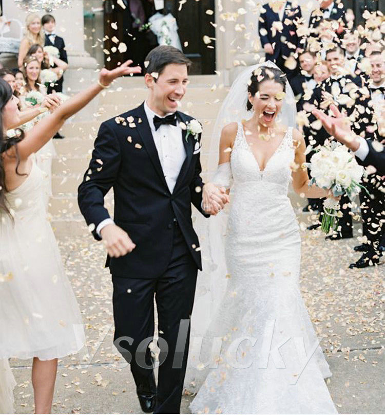 100 Stks/pak Zijden Rozenblaad - Supply Wedding Venue recensie en prijs